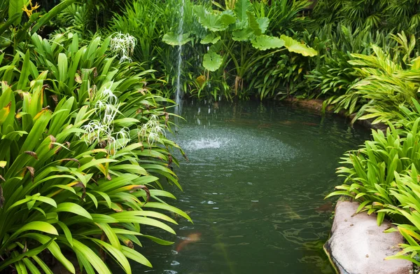 Tropikalny ogród — Zdjęcie stockowe