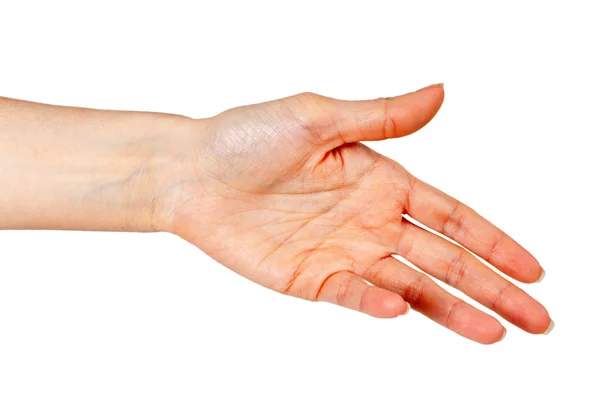 A mão da mulher — Fotografia de Stock