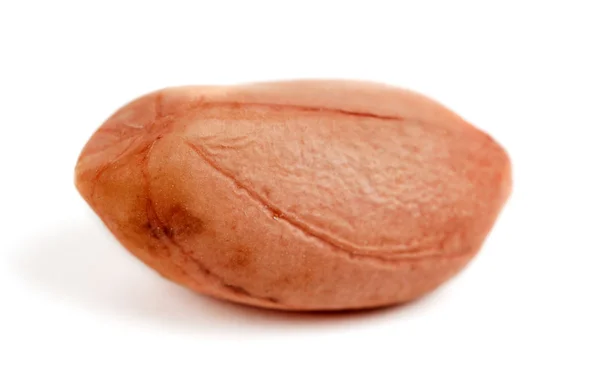 One raw peanut — Stock Photo, Image