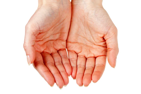 Duas mãos femininas — Fotografia de Stock