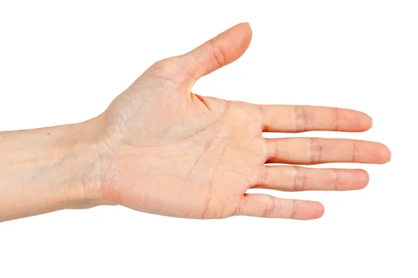 มือของผู้หญิง — ภาพถ่ายสต็อก