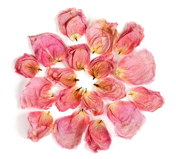 Suché listy růží — Stock fotografie