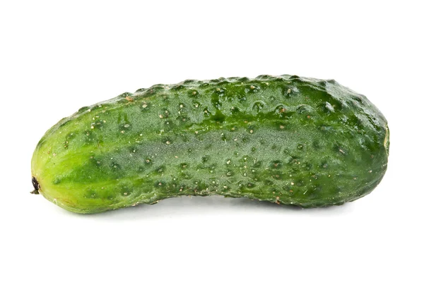 一个成熟的黄瓜 — 图库照片