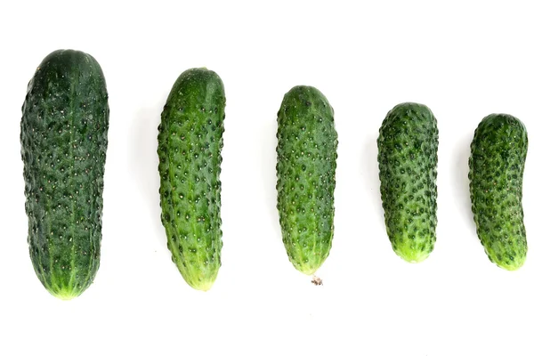 П'ять стиглі огірок — стокове фото