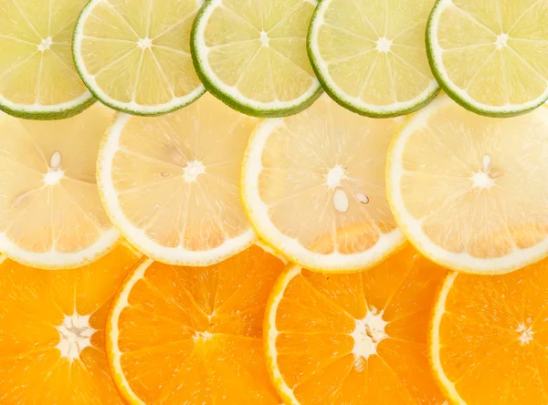 Lemon lime orange slices — Stock Photo, Image
