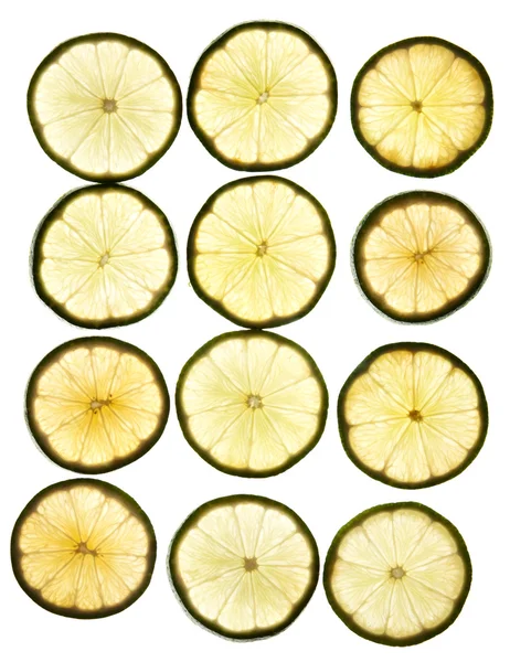 Round slices lime — Stock Photo, Image