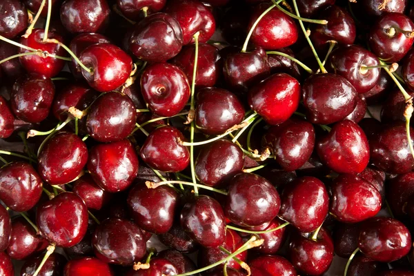 Background of black cherry — Stock Photo, Image