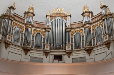 eski organ