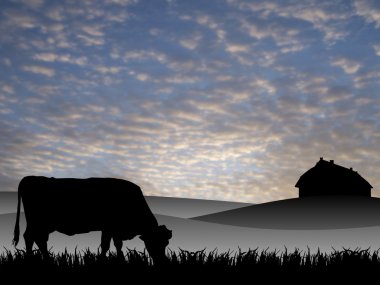 Cow on pasture at sunset in summer clipart