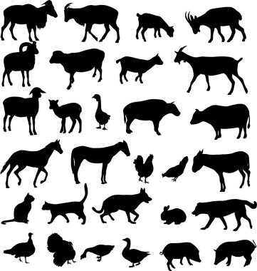 Farm animals clipart