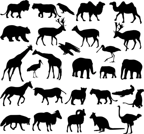 Hayvanlar silhouettes — Stok Vektör