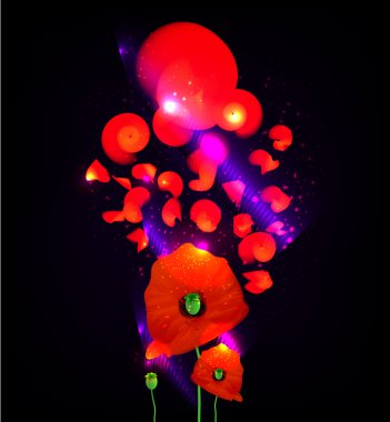 Poppies. Vectopr illustration clipart