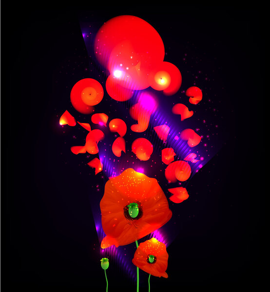 Poppies. Vectopr illustration