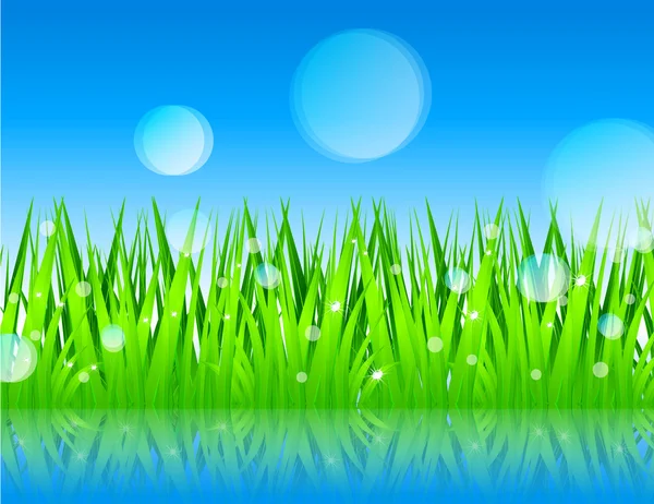 Grünes Gras und blauer Himmel - Vektor — Stockvektor