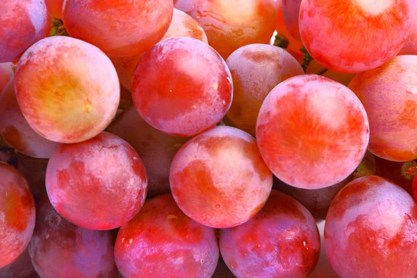 Heerlijke rode druiven — Stockfoto