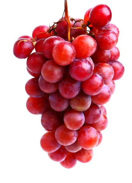 Köstliche rote Trauben — Stockfoto