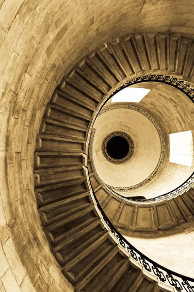 Sepia espiral — Foto de Stock