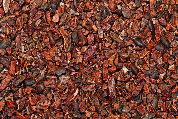 Cacao Pennen ruwe — Stockfoto