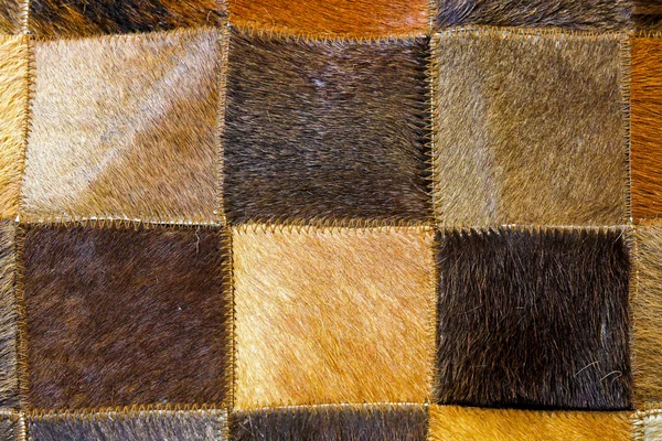 茶色の毛皮 — ストック写真