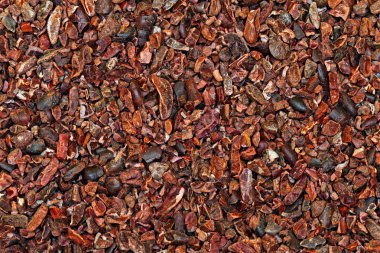 Cocoa nibs clipart