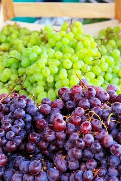 Two grapes — Stock Photo, Image