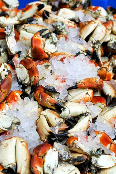 Crabs at ice — Stock Photo, Image