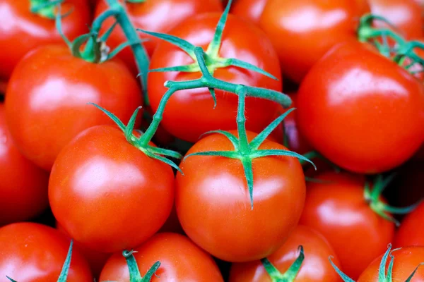 Pila de tomates — Foto de Stock