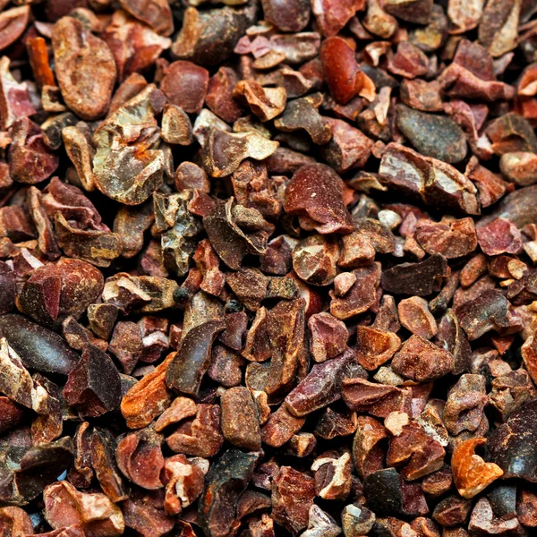 Bio raw kakao — Stock fotografie