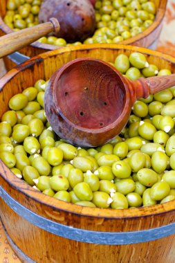 Yeşil Zeytin