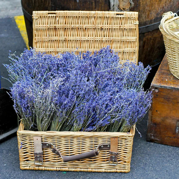 stock image Lavender basket