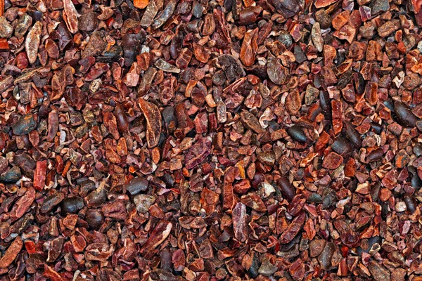 Ruwe cacao pennen — Stockfoto