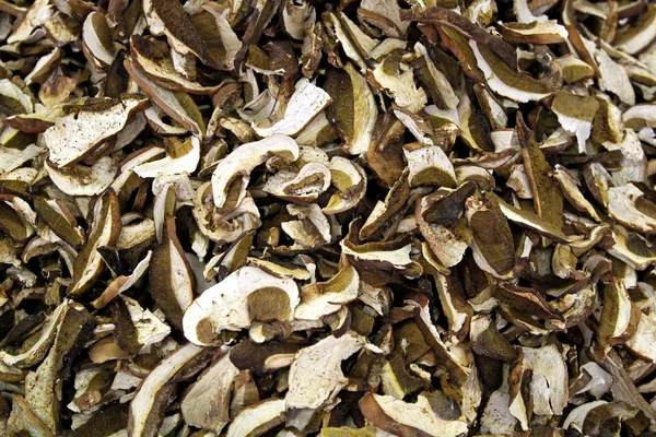 Dried scliced mushroom — Stock Photo, Image