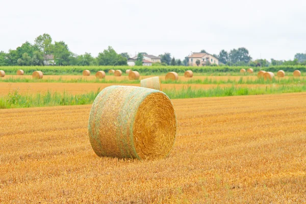 Rolling haystack — Stock Photo, Image
