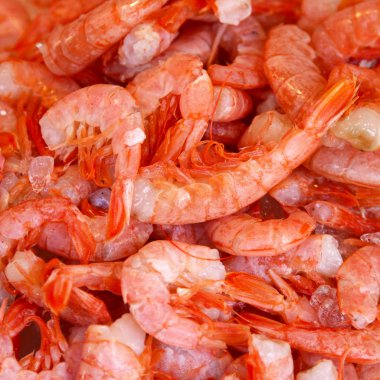 Shrimp tails clipart