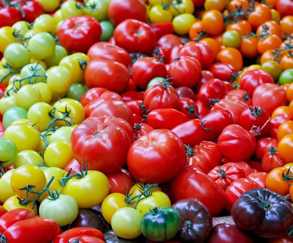 Tomato assortment — Stock Photo, Image