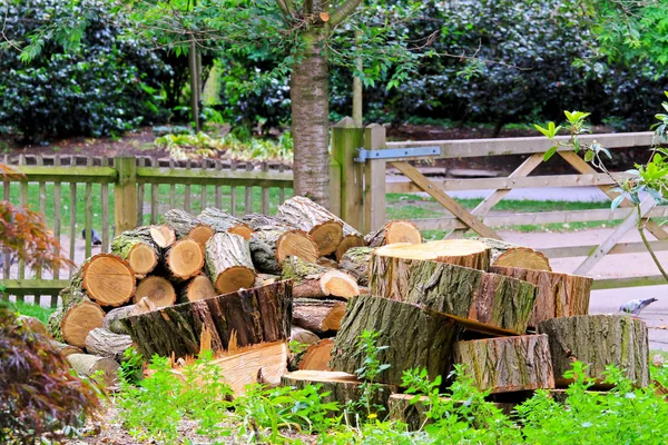 Vuur hout — Stockfoto