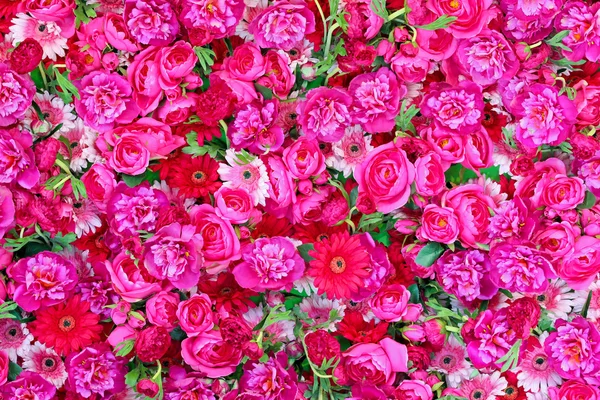 Rózsaszín virágos — Stock Fotó