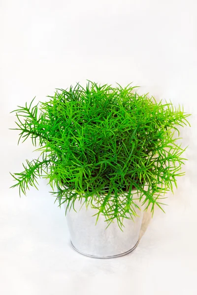 Garnek trawy — Zdjęcie stockowe
