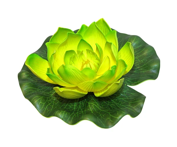Izole lotus — Stok fotoğraf