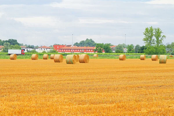 Rolling haystack field — Stock Photo, Image