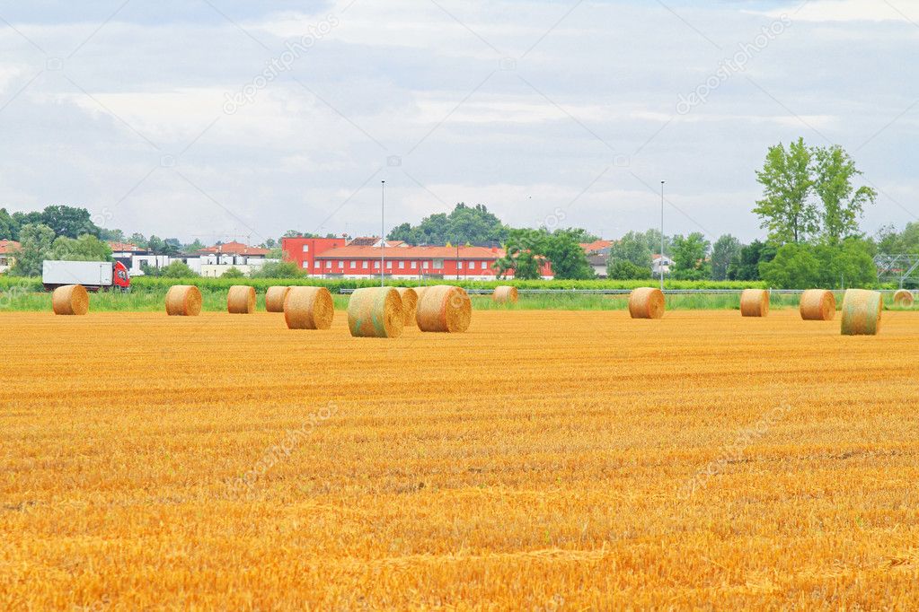 Rolling haystack field