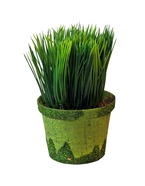 Olla de hierba — Foto de Stock