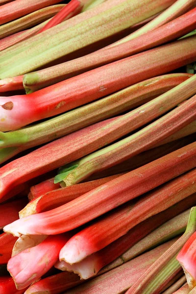 Rhubarbs — Stock fotografie