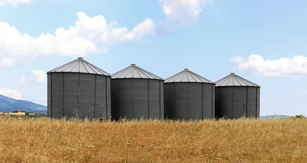 Pšenice silo — Stock fotografie