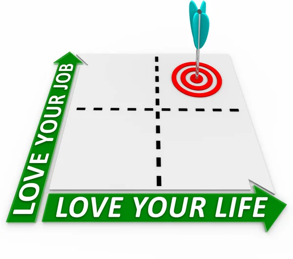 Career and Life Matrix - Arrow and Target — Stock Photo, Image