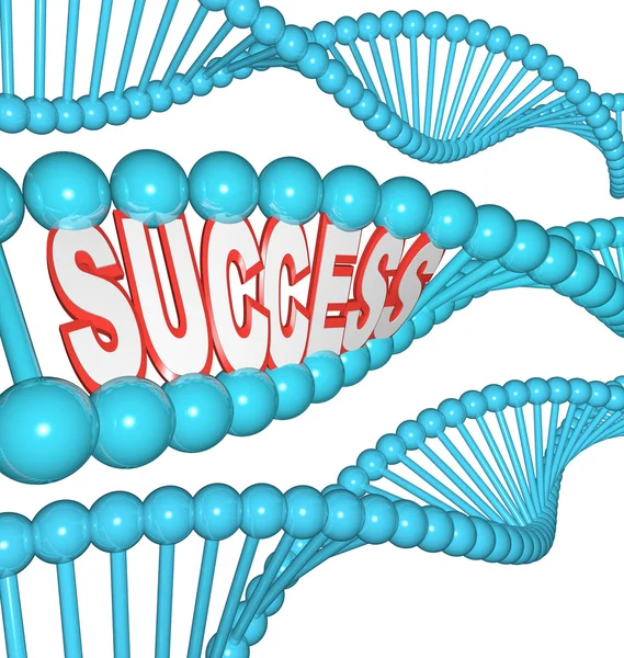 Success Word in DNA Strands Shows that Successful are Bor — Stock Photo, Image