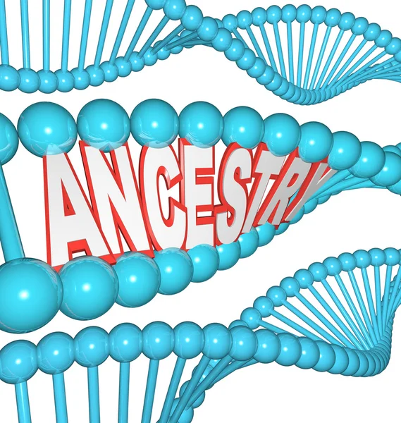 Ancestros Palabra en la investigación del ADN Sus antepasados de genealogía —  Fotos de Stock