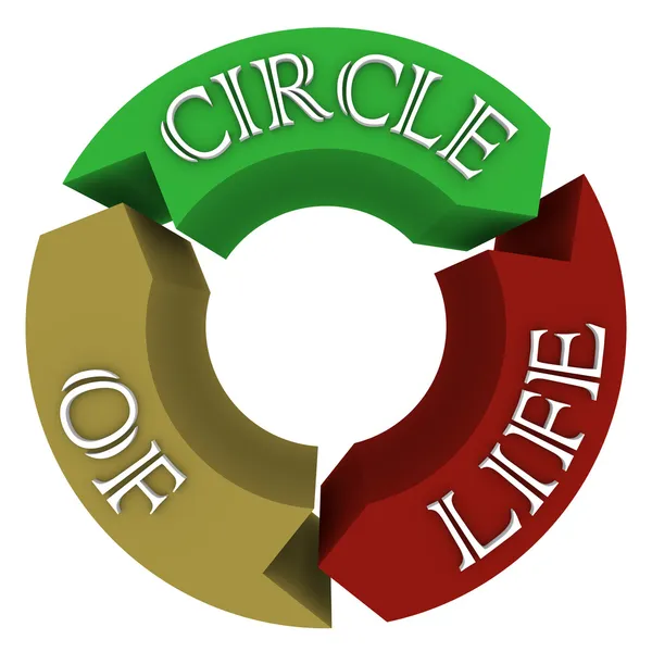 Kruh života šipky v kruhovém cyklu ukazuje spojení — Stock fotografie