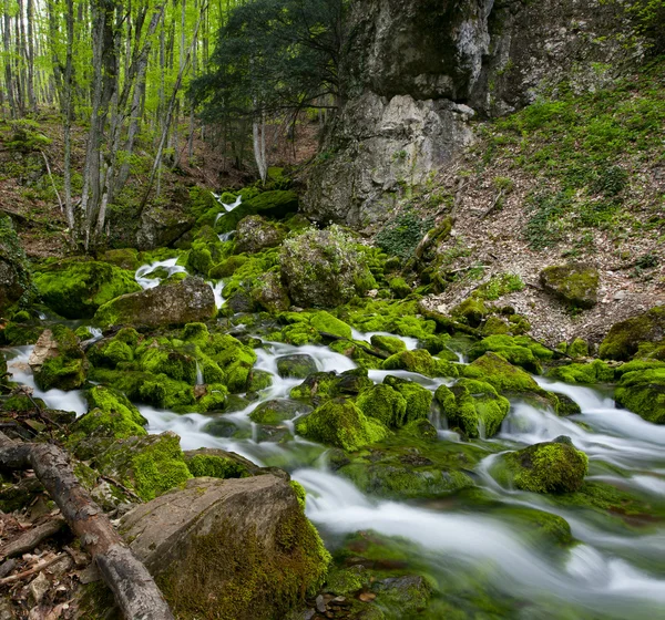 Зеленый поток — стоковое фото
