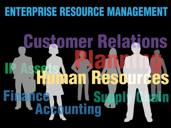 ERM Enterprise Resource Management business — Stockvector